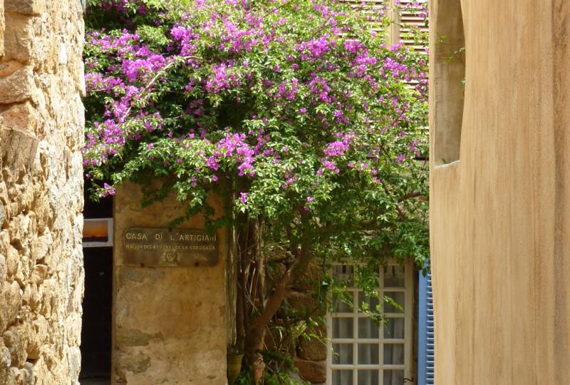 Etape 4 A la découverte de la Corse 