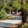 Etape 5 A la découverte de la Corse 